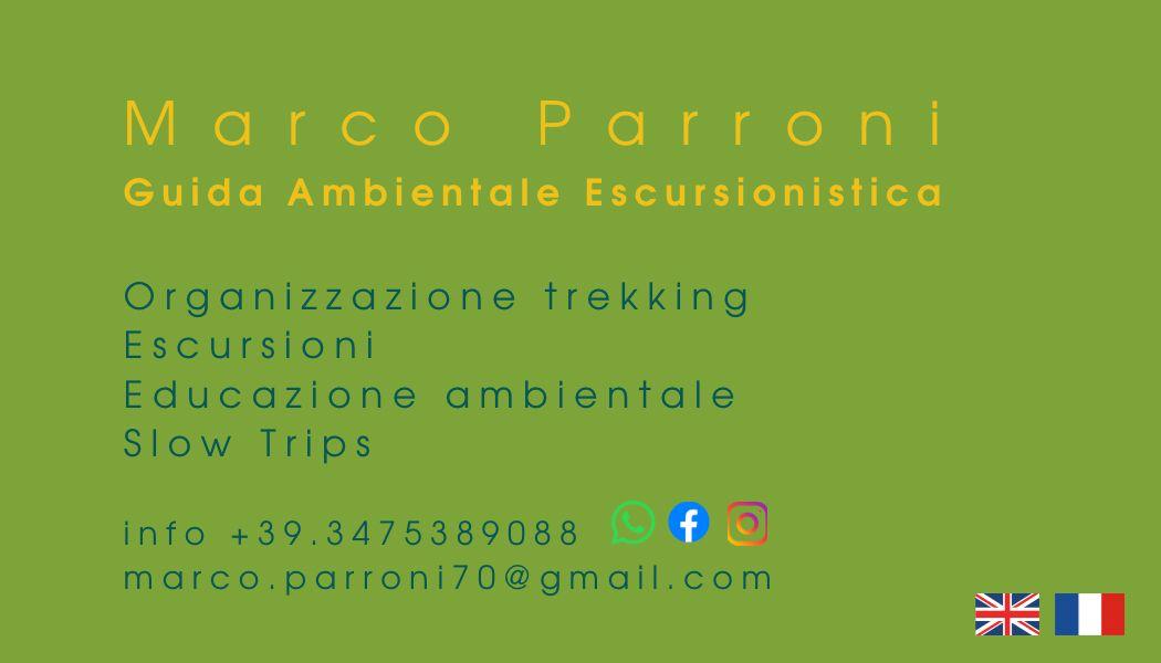 Marco-Parroni-Biglietto-2